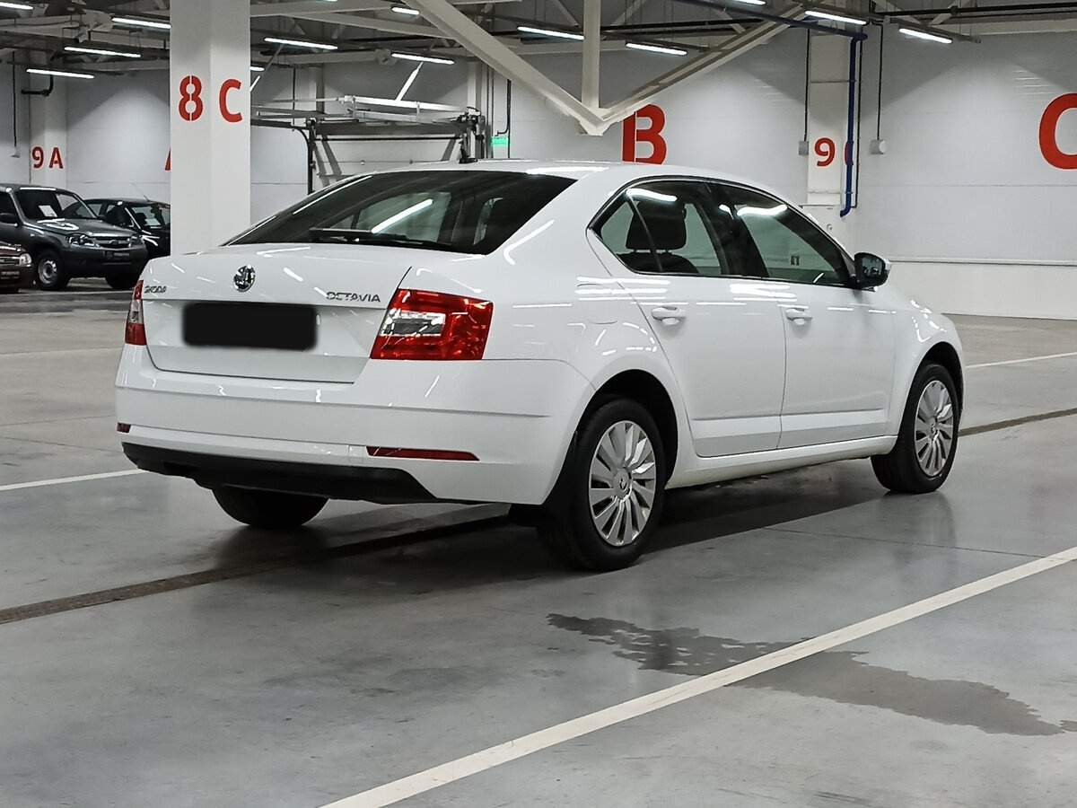 Skoda Octavia с пробегом — 2019 год. Фото: #4