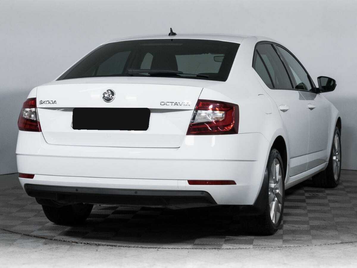 Skoda Octavia с пробегом — 2019 год. Фото: #4