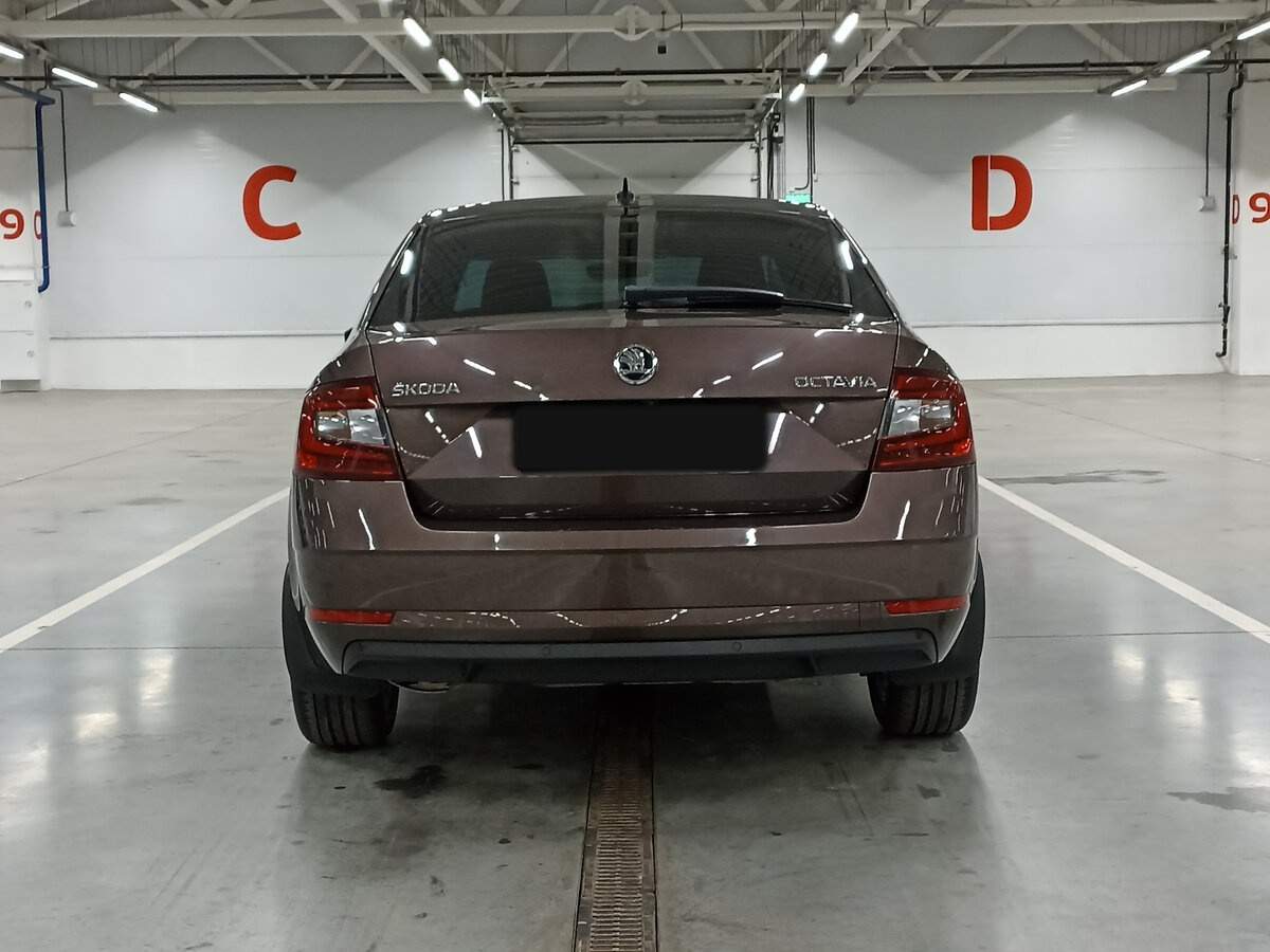 Skoda Octavia с пробегом — 2018 год. Фото: #5