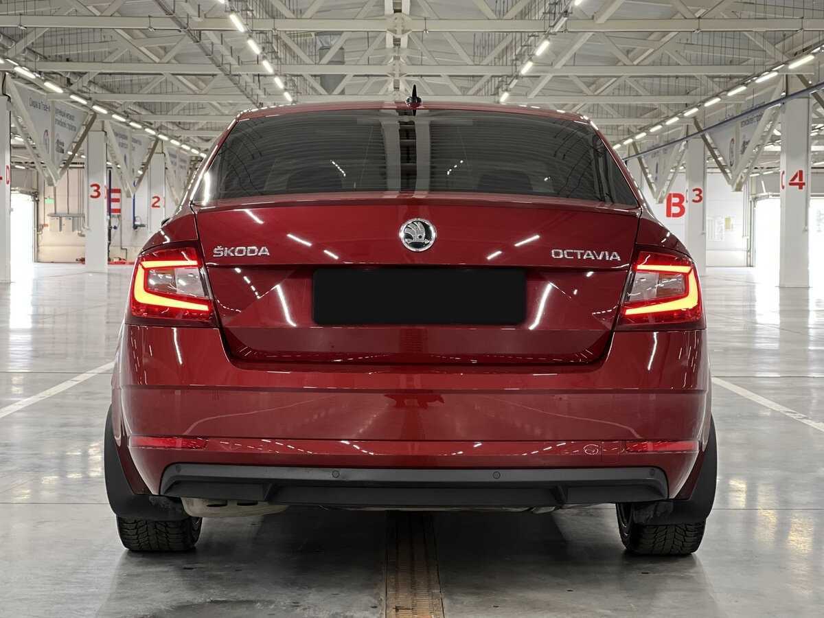 Skoda Octavia с пробегом — 2017 год. Фото: #5