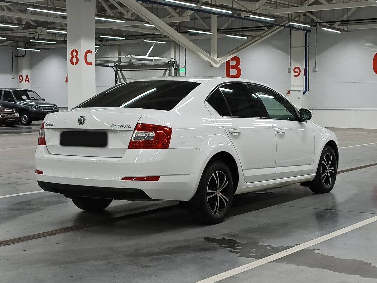 Skoda Octavia с пробегом — 2013 год. Фото: #4