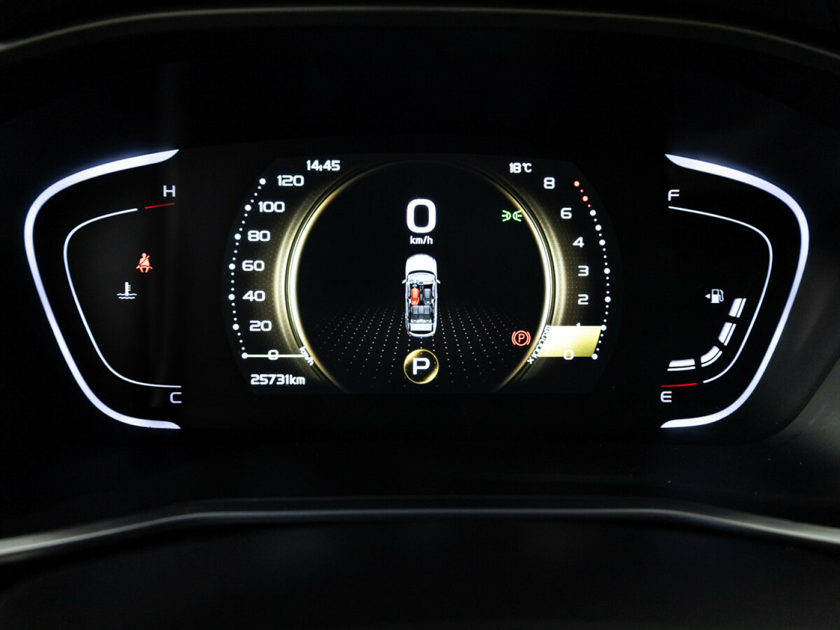 Belgee X50 с пробегом — 2024 год. Фото: #11